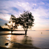 在线手机号轰炸