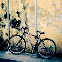 网络电话在线发送