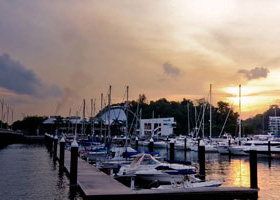 打爆电话的软件